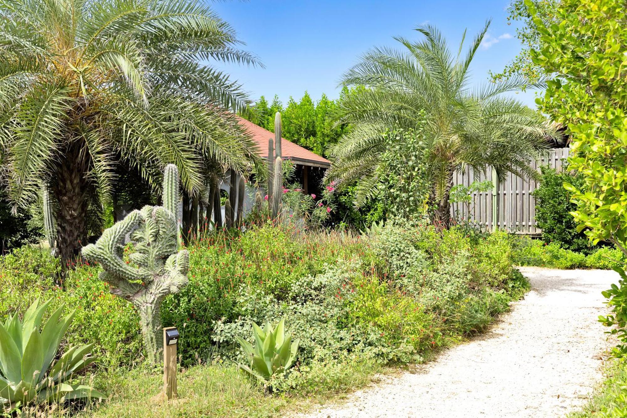 Red Palm Village Playa Exterior foto