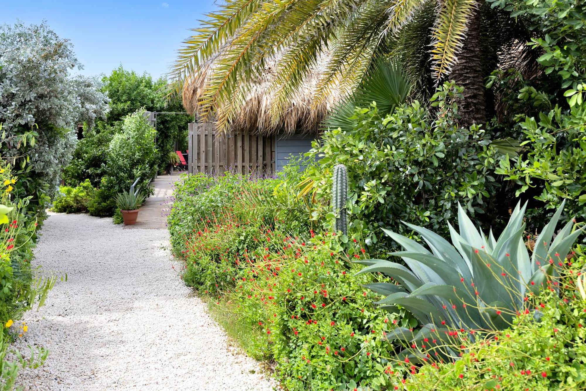 Red Palm Village Playa Exterior foto