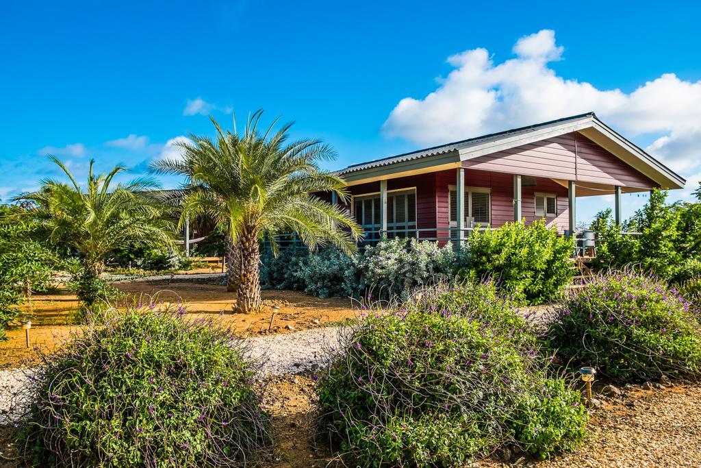 Red Palm Village Playa Exterior foto