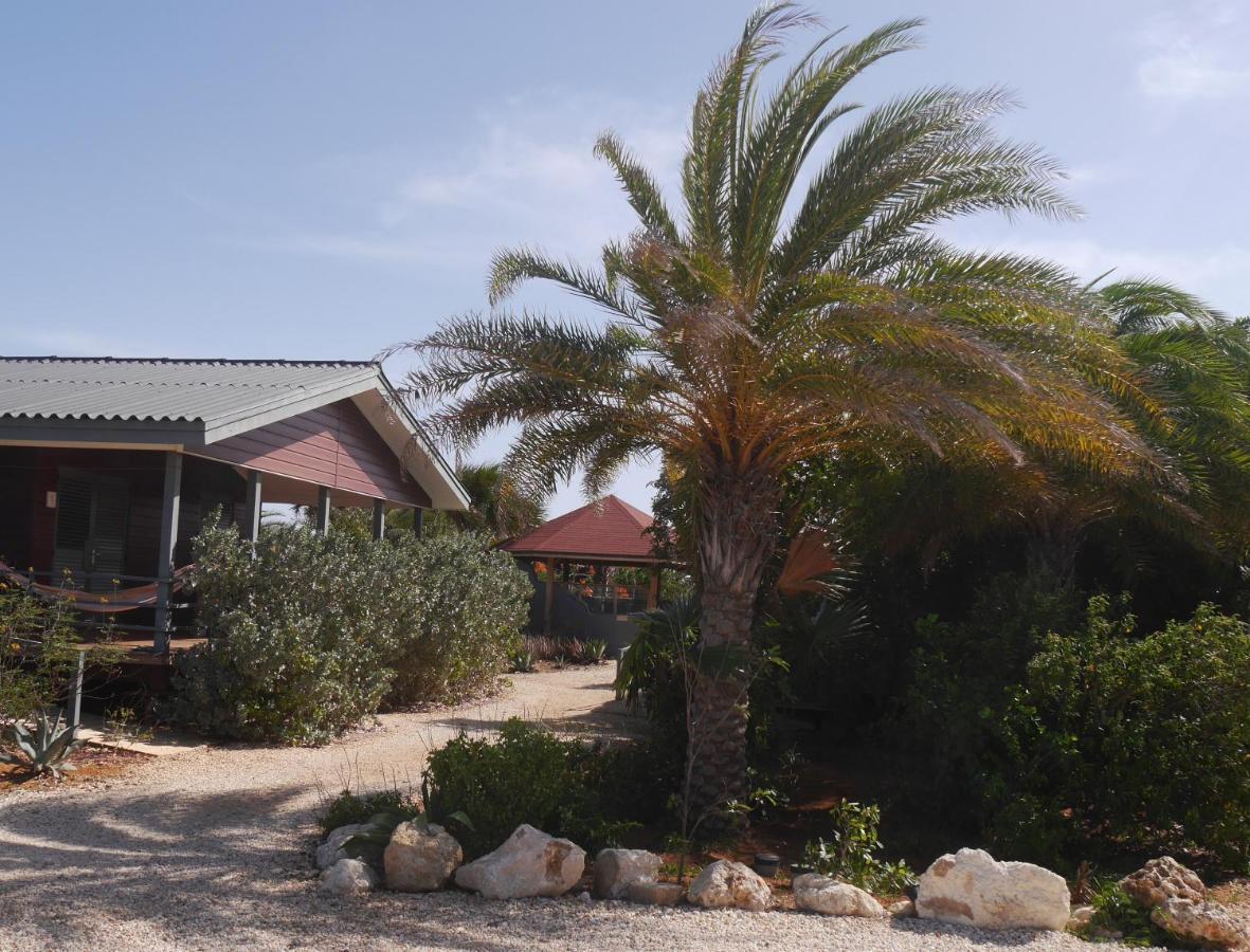 Red Palm Village Playa Exterior foto