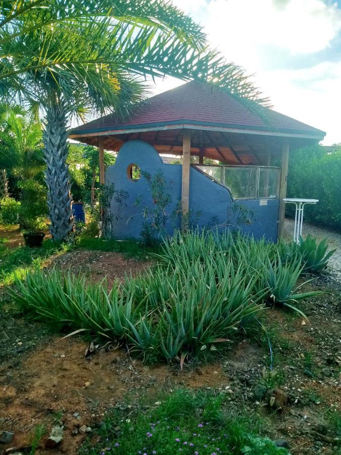 Red Palm Village Playa Exterior foto