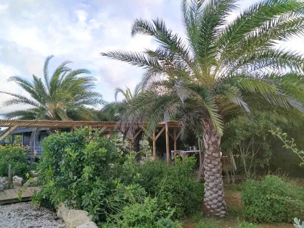 Red Palm Village Playa Exterior foto